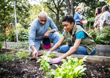 People are lonely. Small steps in your community can make a difference
